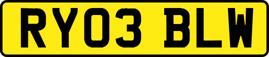 RY03BLW