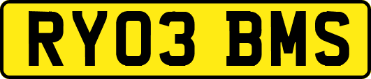 RY03BMS