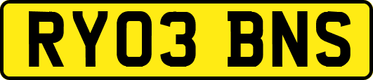 RY03BNS