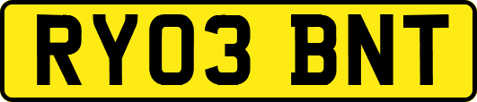 RY03BNT