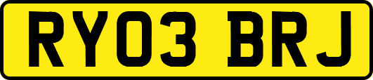 RY03BRJ