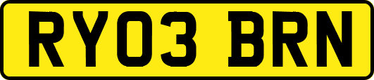 RY03BRN