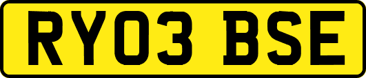 RY03BSE