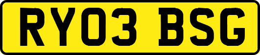 RY03BSG