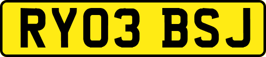 RY03BSJ