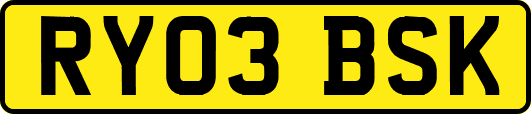 RY03BSK