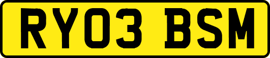 RY03BSM