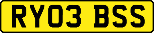 RY03BSS