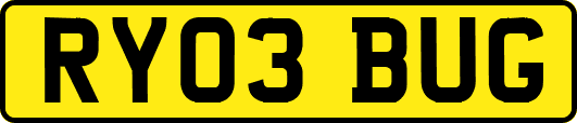 RY03BUG