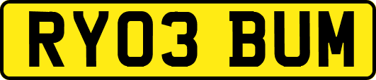 RY03BUM