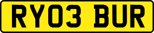 RY03BUR
