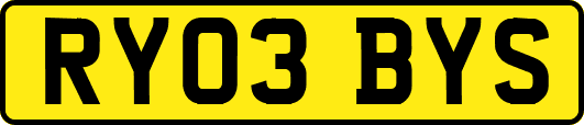 RY03BYS