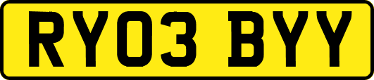 RY03BYY