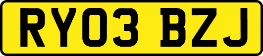 RY03BZJ