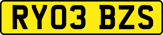 RY03BZS