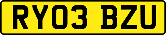 RY03BZU