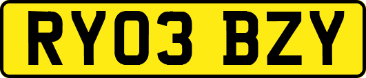 RY03BZY