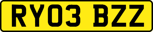 RY03BZZ