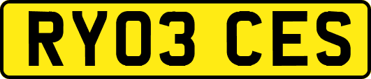 RY03CES