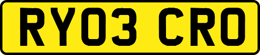 RY03CRO