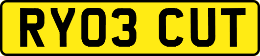 RY03CUT