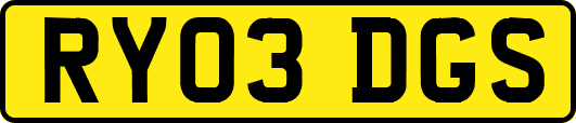RY03DGS