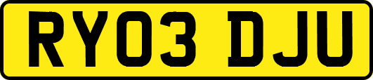 RY03DJU
