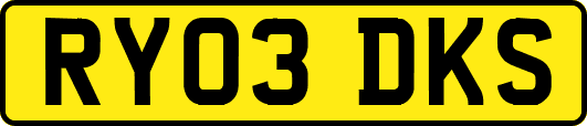 RY03DKS