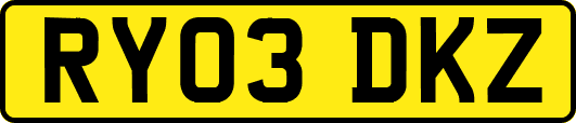 RY03DKZ