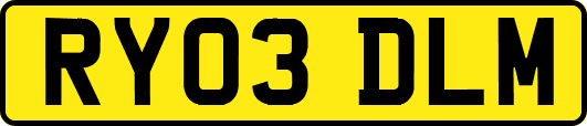RY03DLM