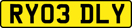 RY03DLY