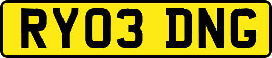 RY03DNG