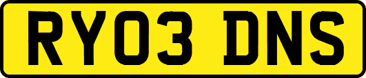 RY03DNS