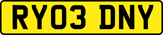 RY03DNY