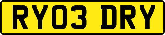 RY03DRY
