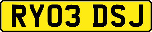 RY03DSJ