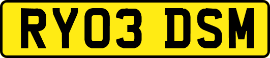 RY03DSM