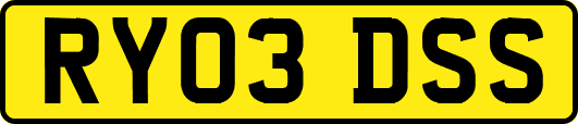 RY03DSS