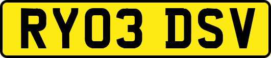 RY03DSV