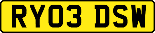 RY03DSW