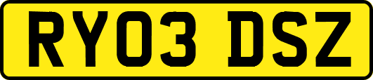 RY03DSZ
