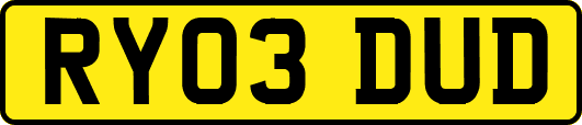 RY03DUD