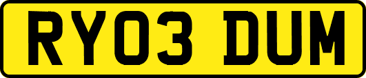 RY03DUM