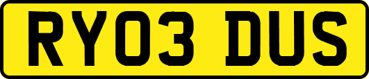 RY03DUS