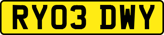 RY03DWY