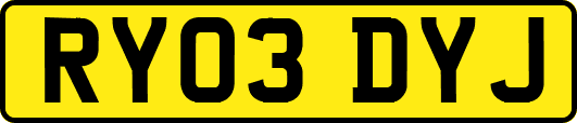RY03DYJ