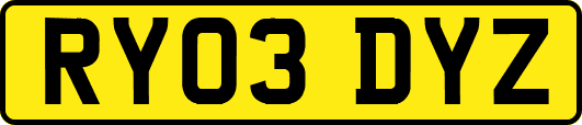 RY03DYZ