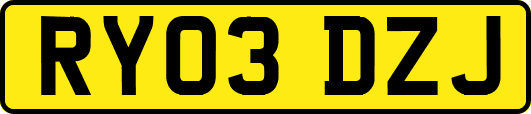 RY03DZJ