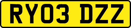 RY03DZZ