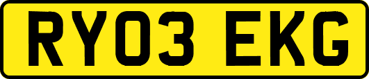 RY03EKG